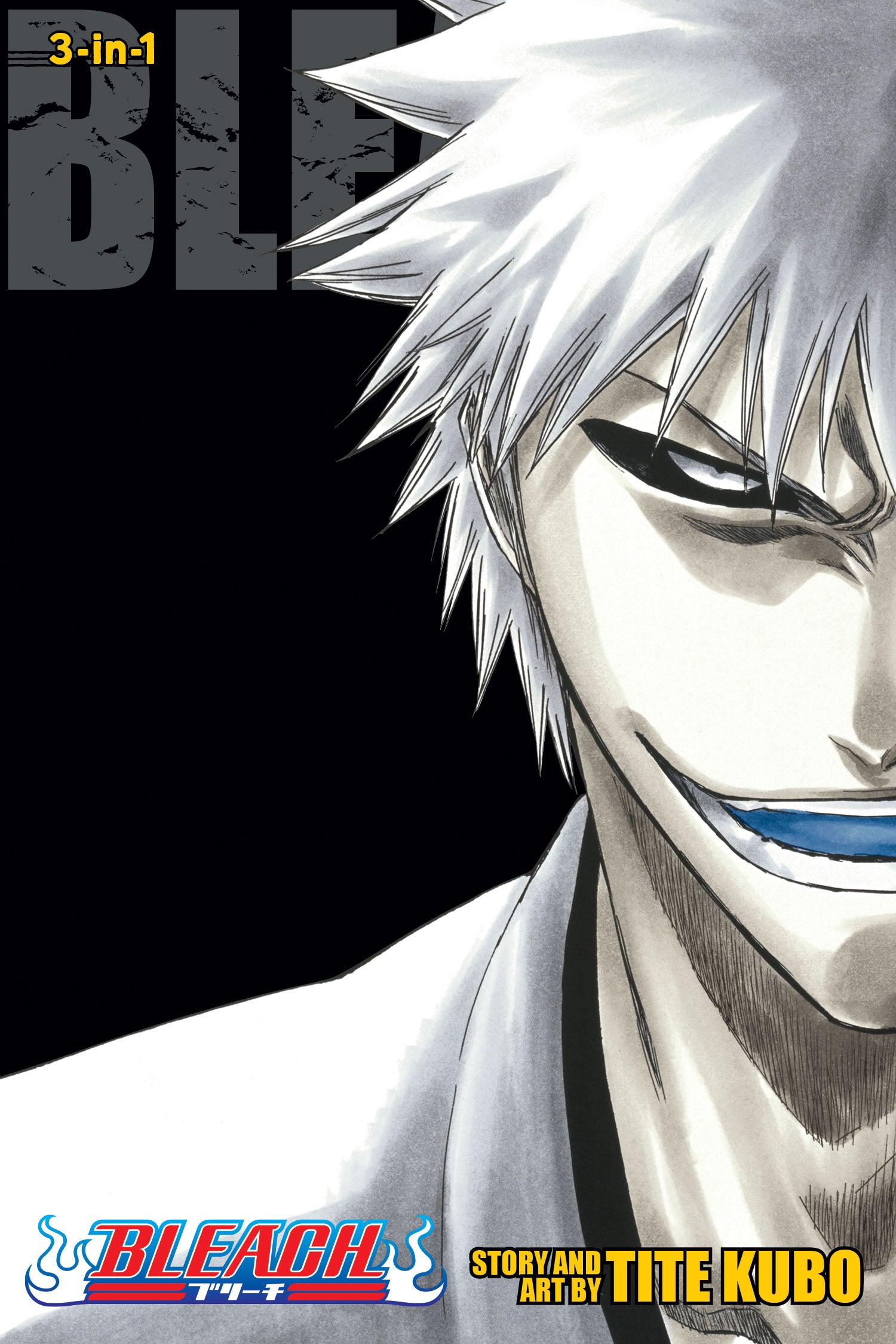 Bleach, Vol. 25/26/27