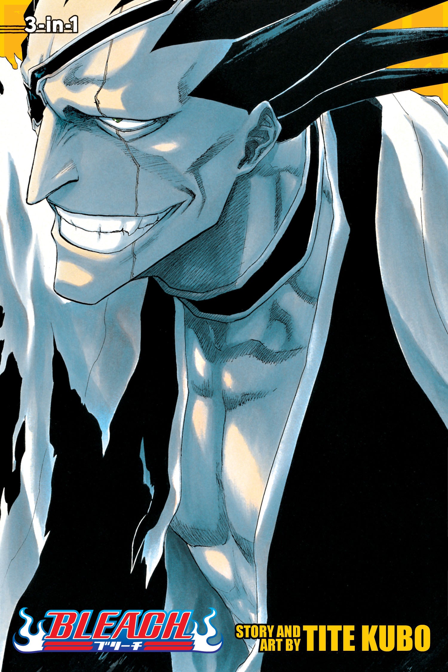 Bleach, Vol. 13/14/15