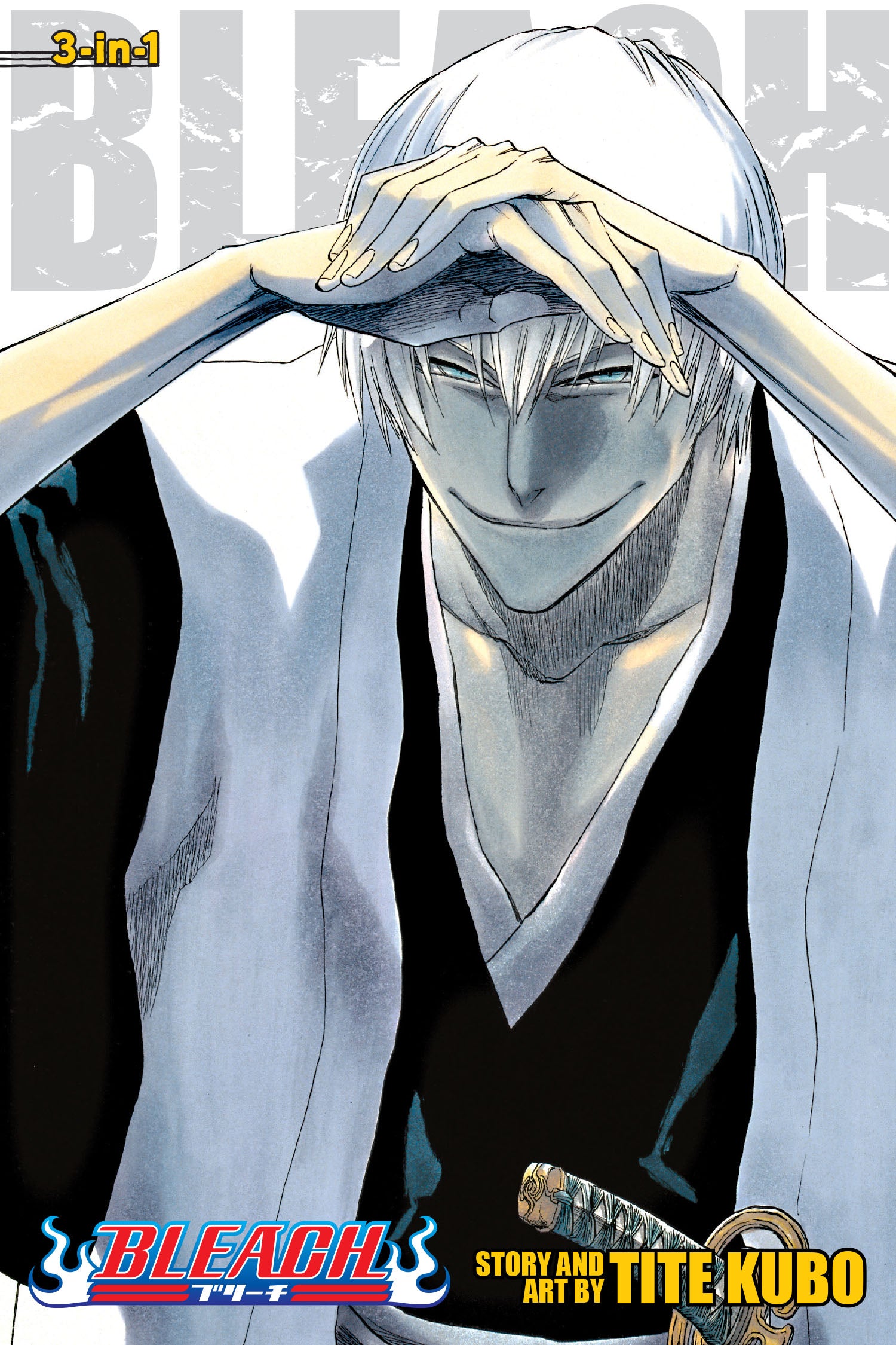 Bleach, Vol. 19/20/21