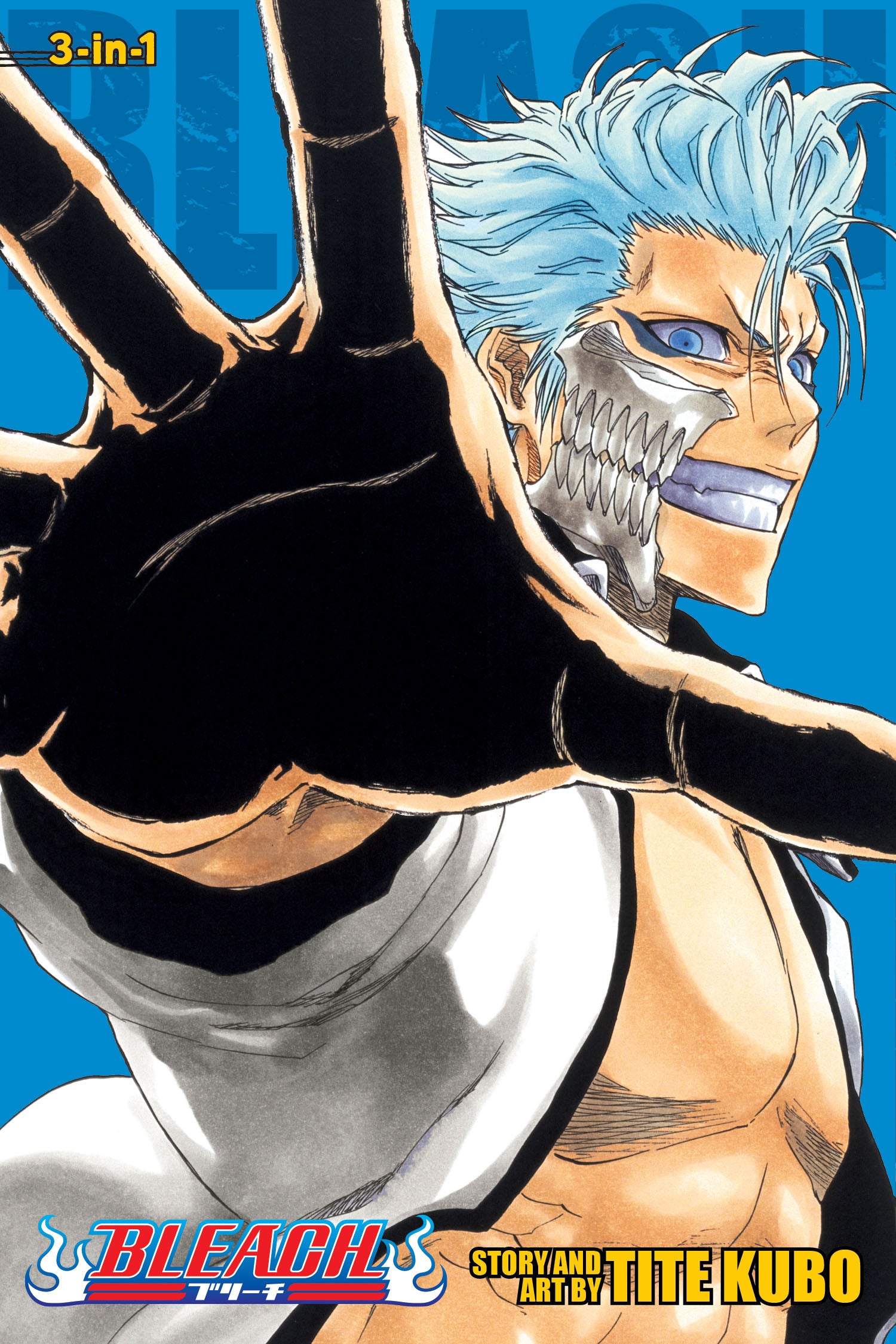 Bleach, Vol. 22/23/24